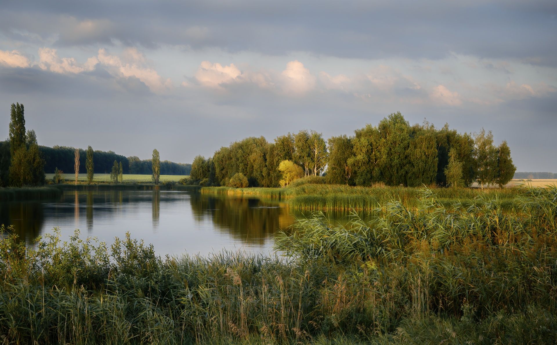 В лучах вечернего солнца